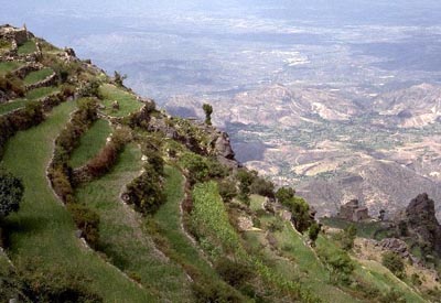 Arabische Halbinsel, Jemen: Erlebnisreise Saba & Hadramaut - Jebel Sabr Taizz